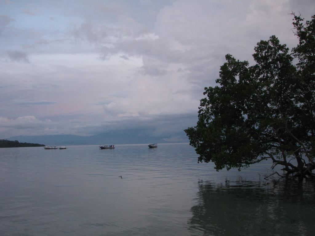Happy Gecko Dive Resort Bunaken Exterior foto